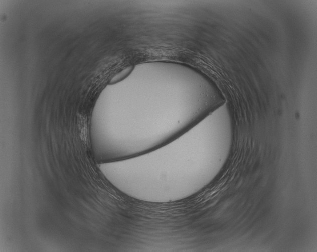 X0000067351251200603310851