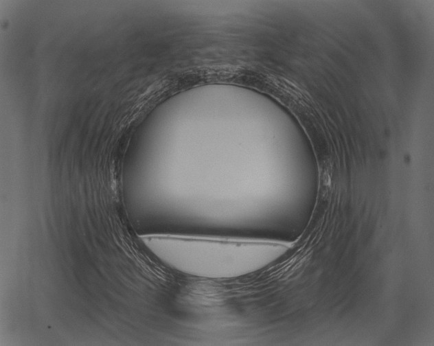 X0000067351252200603310851