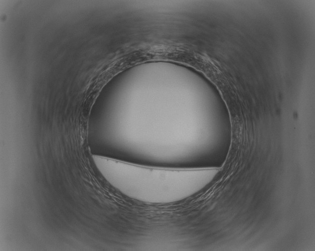 X0000067351253200603310851