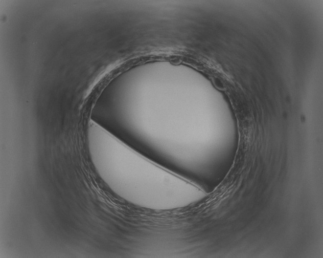X0000067351256200603310851