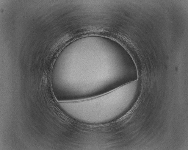 X0000067351257200603310851