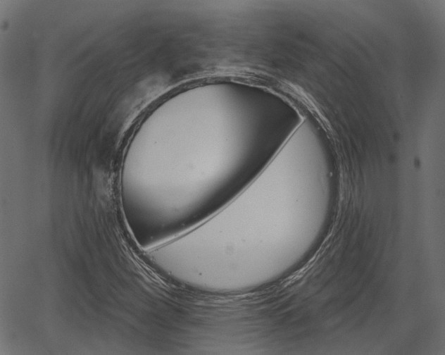 X0000067351260200603310851