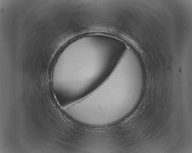X0000067351264200603310851