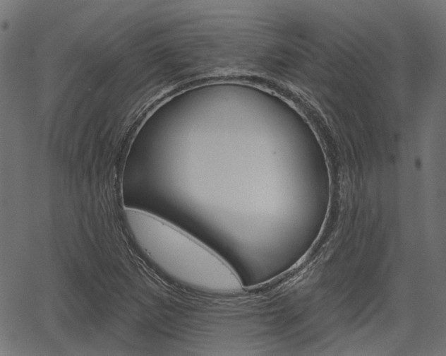 X0000067351265200603310851