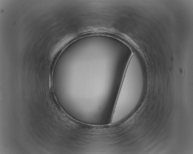 X0000067351269200603310851