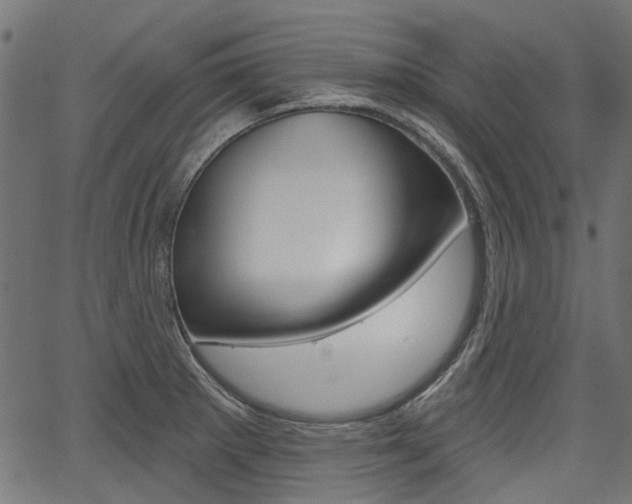 X0000067351281200603310851