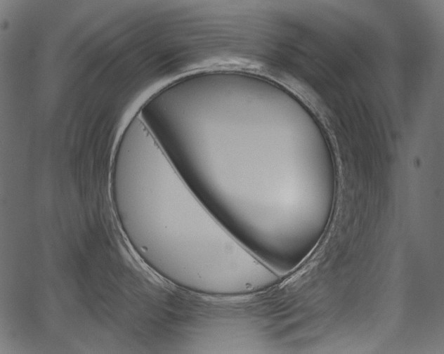 X0000067351296200603310850