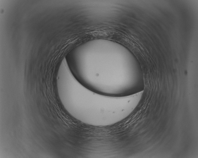 X0000067351297200603310849
