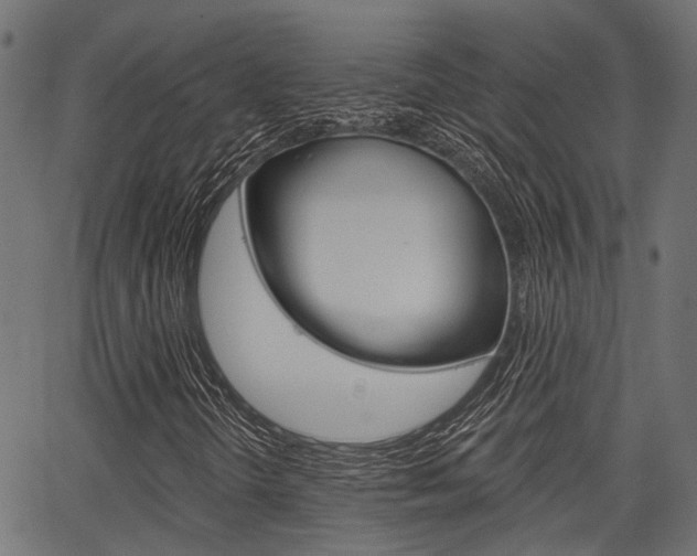 X0000067351298200603310850