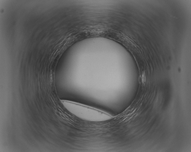 X0000067351299200603310850
