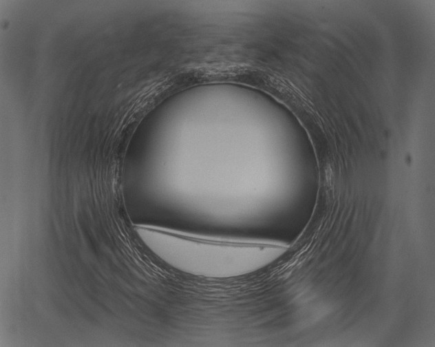 X0000067351300200603310850