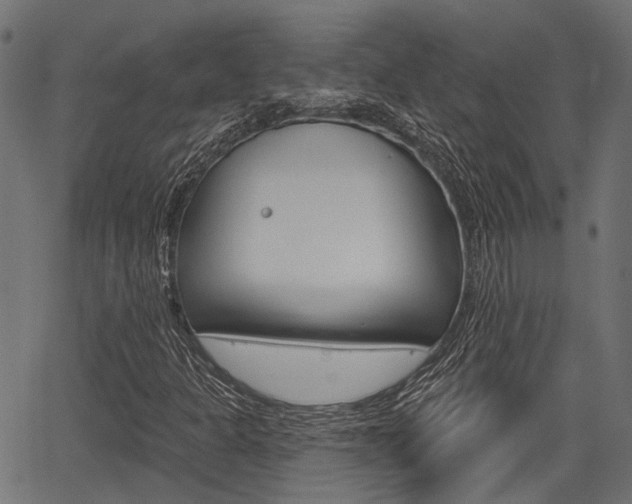 X0000067351301200603310850