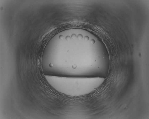 X0000067351302200603310850
