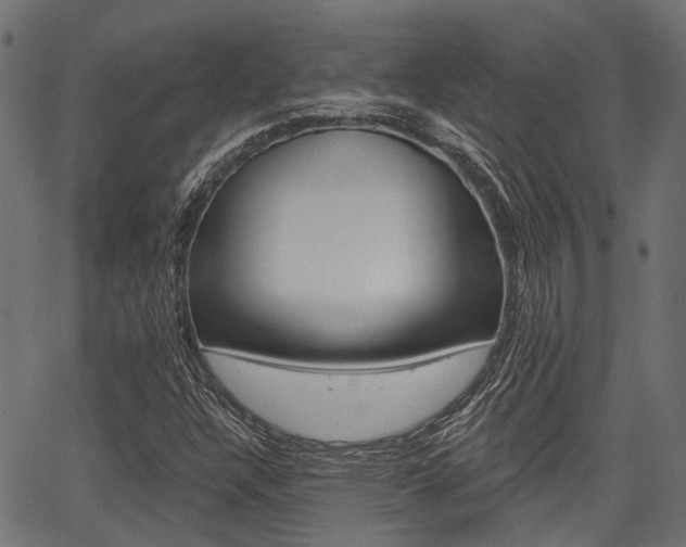 X0000067351304200603310850