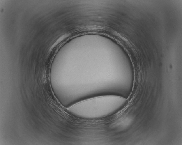 X0000067351306200603310850