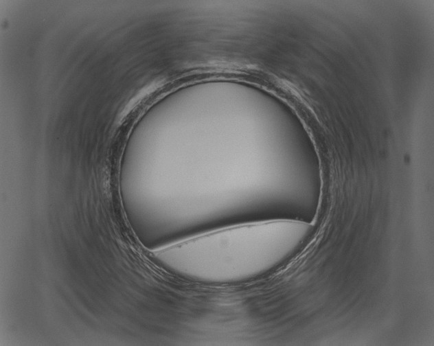 X0000067351307200603310850