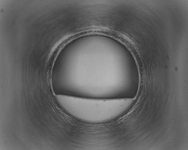 X0000067351310200603310850