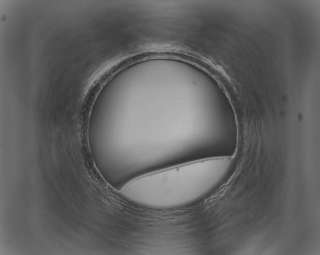 X0000067351311200603310850