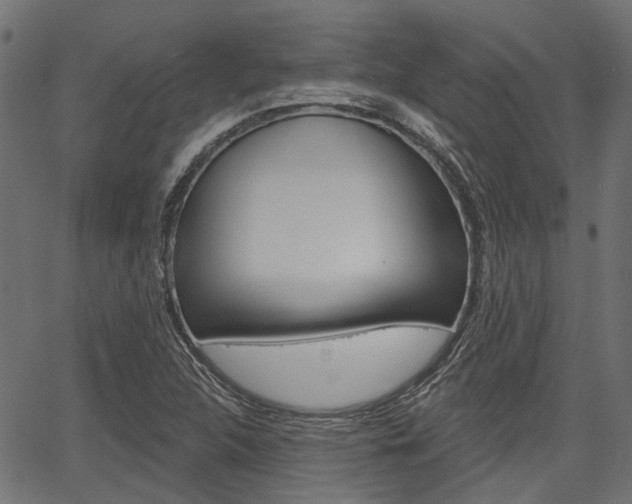 X0000067351312200603310850