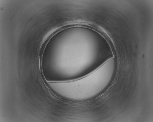 X0000067351320200603310850