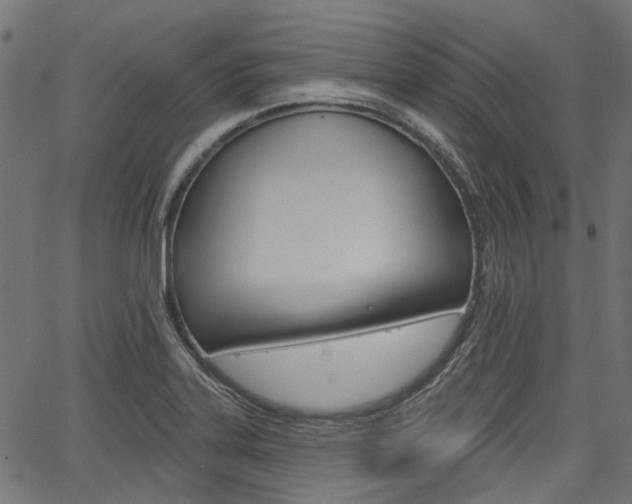 X0000067351323200603310850