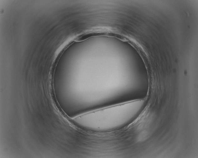 X0000067351325200603310850