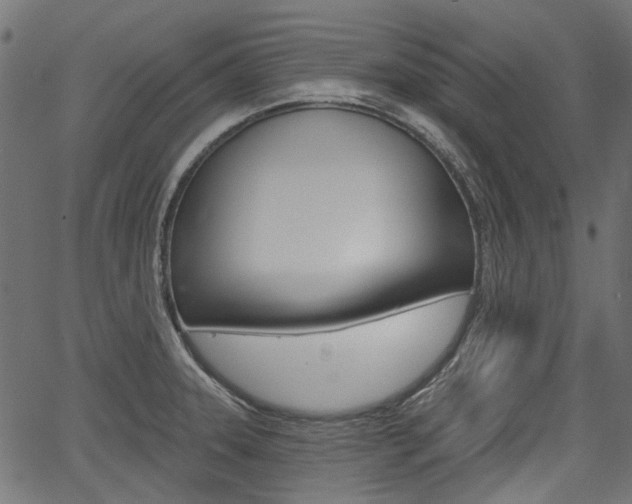 X0000067351331200603310850