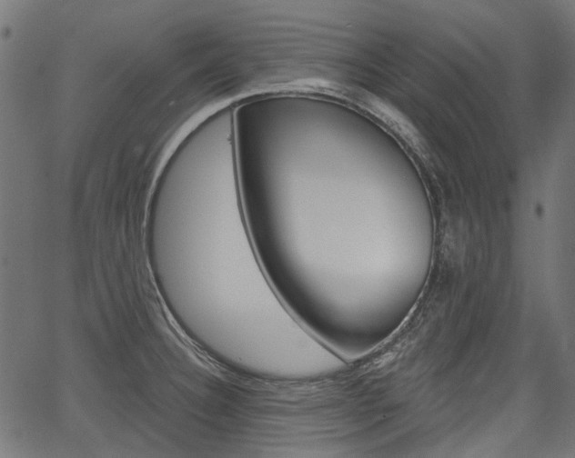 X0000067351332200603310850