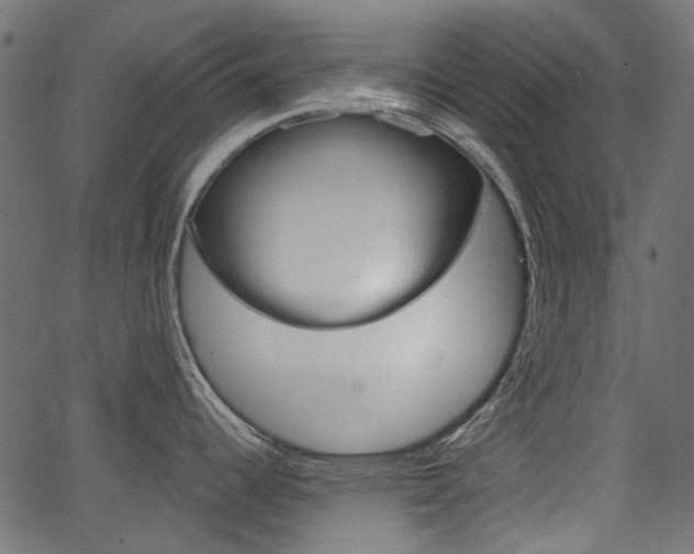 X0000067351344200603310850