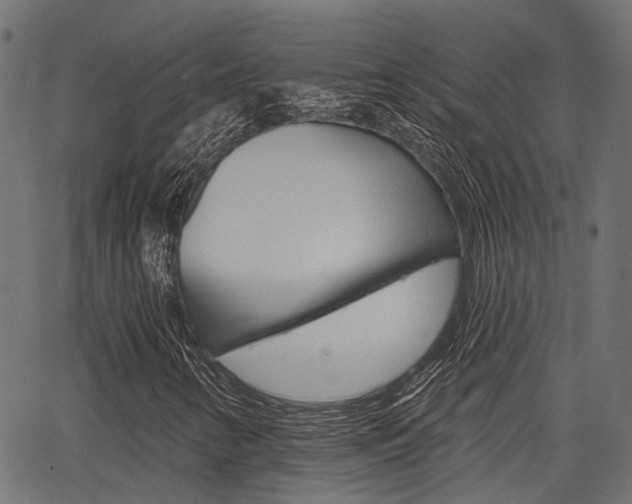 X0000067351346200603310849