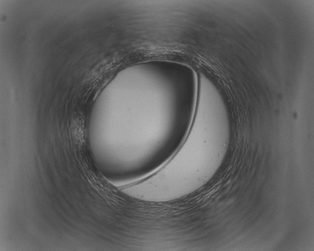 X0000067351348200603310849