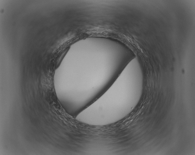 X0000067351350200603310849