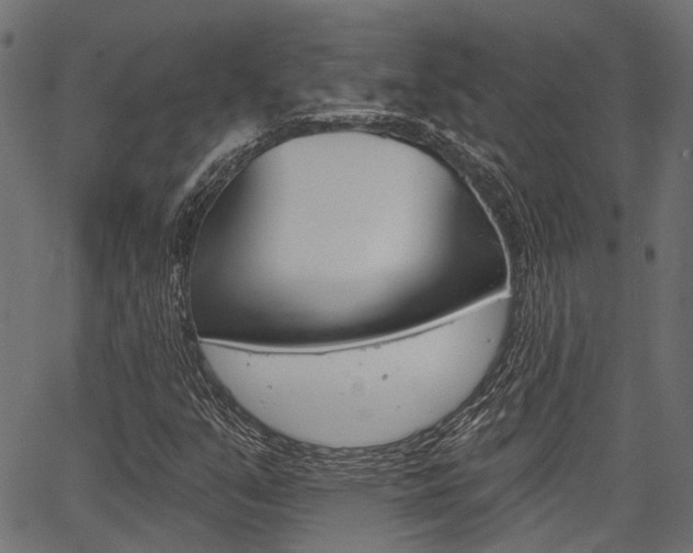X0000067351351200603310849