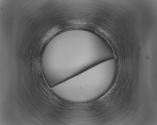 X0000067351354200603310849
