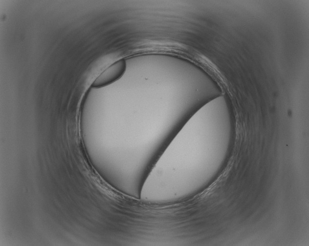 X0000067351370200603310849
