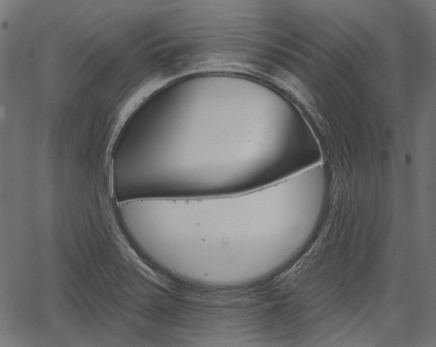 X0000067351371200603310849