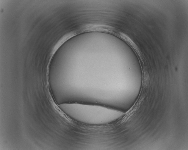 X0000067351386200603310849