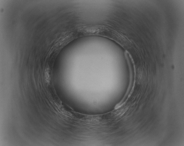 X0000067351394200603310848