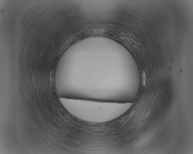 X0000067351395200603310848