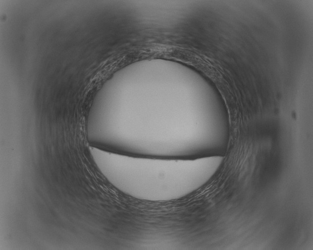 X0000067351397200603310848