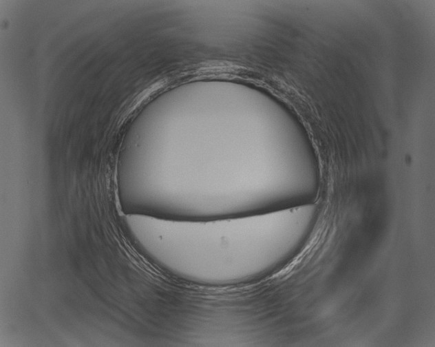X0000067351401200603310848