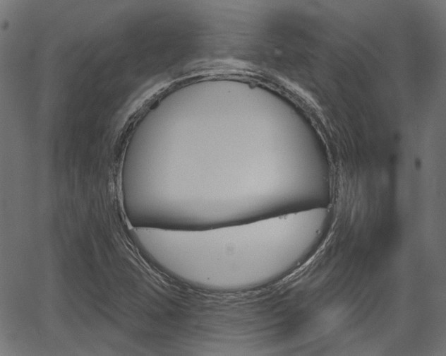 X0000067351407200603310848