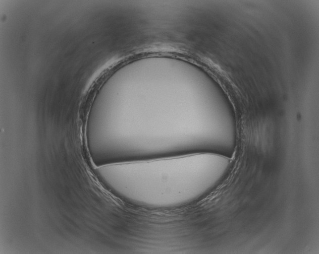 X0000067351408200603310848