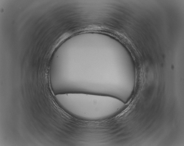 X0000067351409200603310848