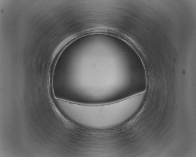 X0000067351418200603310848