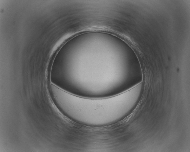 X0000067351422200603310848