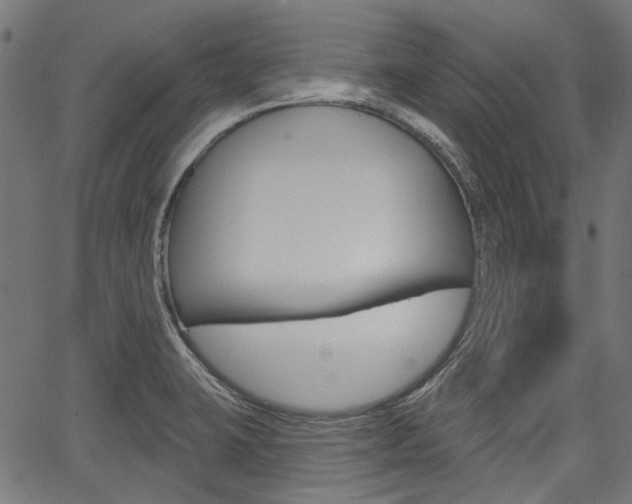 X0000067351423200603310848