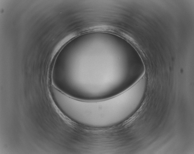 X0000067351426200603310848