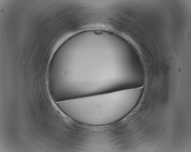 X0000067351440200603310849