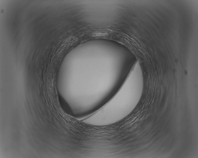 X0000067351441200603310848